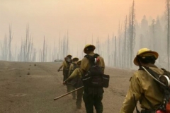 Donnell Fire Hand Crew.