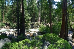 Middle Fork of the Stanislaus River.