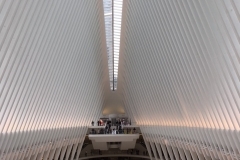 WTC Transportation Hub - the Oculus.