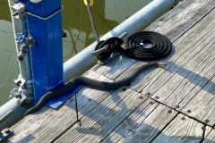 LEWS on Dock F. 1